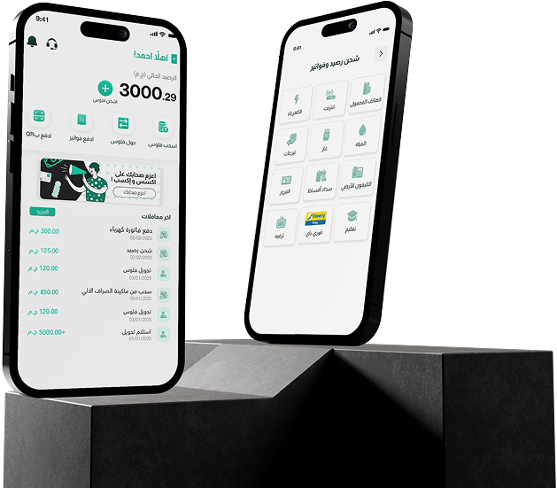 axis Wallet app interface